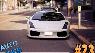 Auto Vines #23