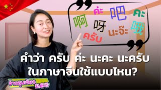 ครับ ค่ะ นะคะ นะครับ ในภาษาจีน ใช้แบบไหน | วิธีเรียนภาษาจีน EP.3