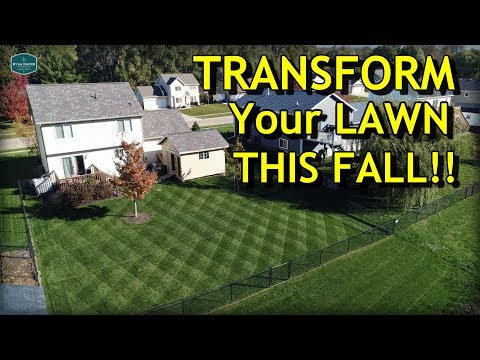 Wideo: Jesienna pielęgnacja trawnika: Dowiedz się więcej o pielęgnacji trawnika jesienią