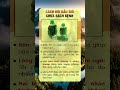 Tuyệt chiêu An Lạc Dưỡng Sinh: Sức khỏe viên mãn nhờ Phật Pháp và bí quyết Cổ Nhân xưa!
