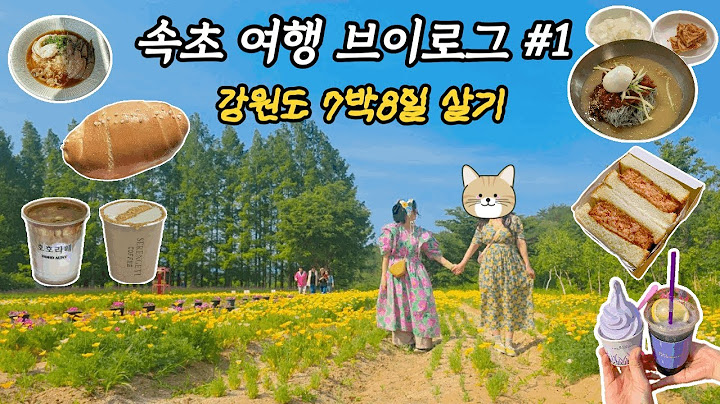 속초 여행 브이로그 #1 | n번째 속초여행 나만 따라와 | 오징어난전 | 커피 맛집 | 아야진해변 | 우동당 | 장칼국수 맛집 | 하늬라벤더팜 | 소금빵 맛집 | 냉면맛집