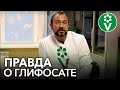 РАУНДАП: панацея от сорняков или смертельный яд? Мнение опытного биолога