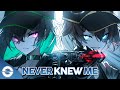 Nightcore  never knew me lyrics