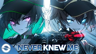 Nightcore - Never Knew Me (Lyrics)