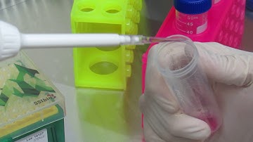 MSU Cell Biology (BIO320) - Cell Culture: Cell Seeding onto 96-Well Plate (Video 9)