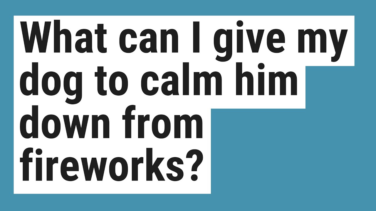 What can I give my dog to calm him down from fireworks? YouTube