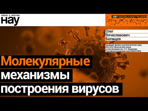 «Молекулярные механизмы построения вирусов». Спикер: Батищев  Олег Вячеславович