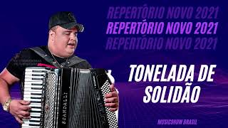 Tonelada De Solido   Tarcsio Do Acordeon   Repertrio Final De Ano 2021
