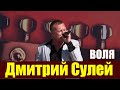 Дмитрий Сулей-ВОЛЯ