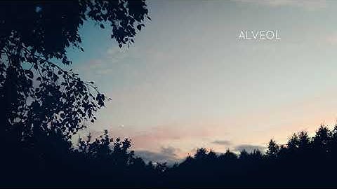 Alveol - Ascending Vision (Official Video)