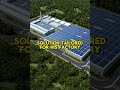 Driving the future of renewable energy—one step at a time.  #alilyenergy #sustainablesolutions