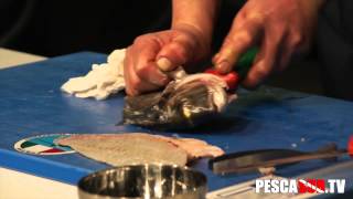 COME SFILETTARE UN PESCE : LA SPIEGAZIONE FACILE | Trucco per cucinare i pesci | Ricette con orata