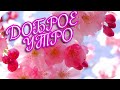 Доброе утро! 🌸Я доброго утра желаю тебе! 🌸 Good morning!🌸