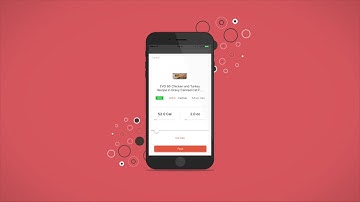 FitCat Cornell MPS Project