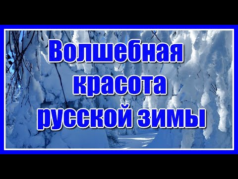 Команды РФПЛ 2019-2020 года: список, какие будут играть изображения Команды РФПЛ 2019-2020 года: список, какие будут играть изоражения