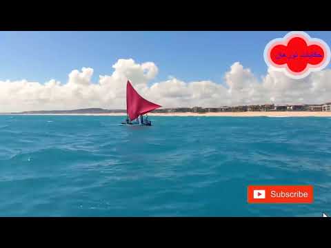 حكاية مدام شروق قصة واقعية