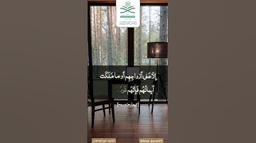 تلاوة من صلاة الفجر ما تيسر من سورة : المعارج ، بصوت القارئ : عمر الضالعي #قناة_عدن_للقرآن_الكريم