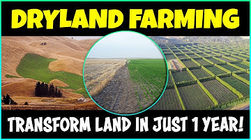 How to convert Dry land into Fertile Land | Farming in Barren Land