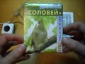 Электрический звонок «СОЛОВЕЙ» СП1102-Р (С) птичья трель