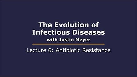 The Evolution of Infectious Diseases with Justin Meyer: Lecture 6 - Antibiotic Resistance