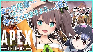 ケープペンギン African Penguin Vtuber バーチャルyoutuber