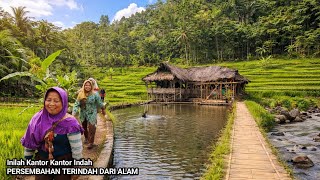 Download Lagu INDAHNYA TIADA TANDING ⁉️SAUNG KARUHUN DAN KAMPUNG TERSUBUR Yang INDAH IDAMAN SEMUA ORANG,  MP3