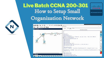 How to Setup Small Organization Network  | CCNA | Network Basic