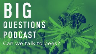 Can we talk to bees?