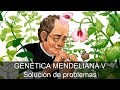 Genética mendeliana 05: Solución de problemas