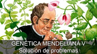 Genética mendeliana 05: Solución de problemas