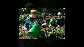 Акция 