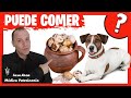 🛑 Puedo Darle HUEVO  a mi PERRO ❓  Los PERROS pueden Comer Huevo CRUDO o COCIDO ❓