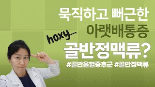 오래 서있을 때, 생리때 심해지는 골반통이 6개월 이상 되면 이것을 의심해보세요 (feat. 골반에 생긴 하지정맥류)