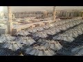 روعه لحظات غلق مظلات المسجد النبوي الشريف اجمل تصميم لمظلات فى العالم