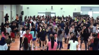 IIT FMO 2014: Summary