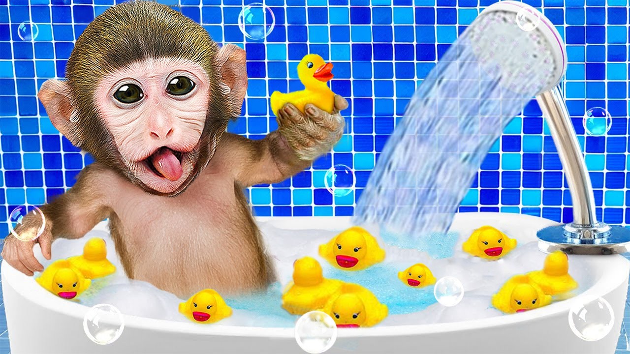 Mono MoMo vende Helado en el Parque y se baña con el Mono Bebe🍦🐒🛁 | MONO MOMO ESP