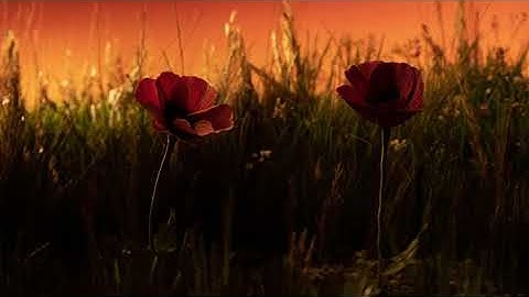 SONG EXPLODER TEASER