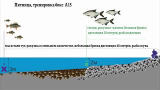 картинка: КУБОК РТ, донка Заинск