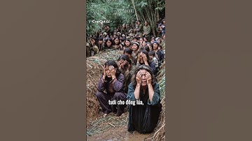 Mỹ Lai 1968 - Nơi tội ác của giặc Mỹ được phơi bày