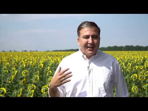 Обращение к президенту Владимиру Зеленскому მიხეილ სააკაშვილმა მიმართა უკრაინის პრეზიდენტს