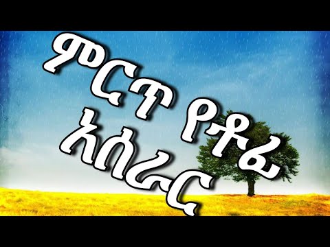 ቪዲዮ: የቶፊ ፖም ፍሪጅ ውስጥ ታስገባለህ?