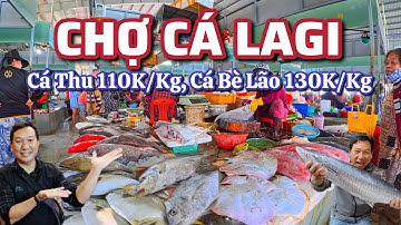 Chợ Cá LAGI  Bình Thuận - Cá Thu 110K/Kg, Cá Bè Lão 130K/Kg.