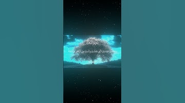 سورة الشعراء|10-28|القارئ:#محمد_اللحيدان #قران #quran #راحة_نفسية #قران_كريم#تلاوة_هادئة#تلاوة_خاشعة