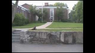 Bmx edit-The days-