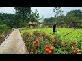 CEO Leaves the City to Build a Quiet Organic Farm | Daily Garden Routine