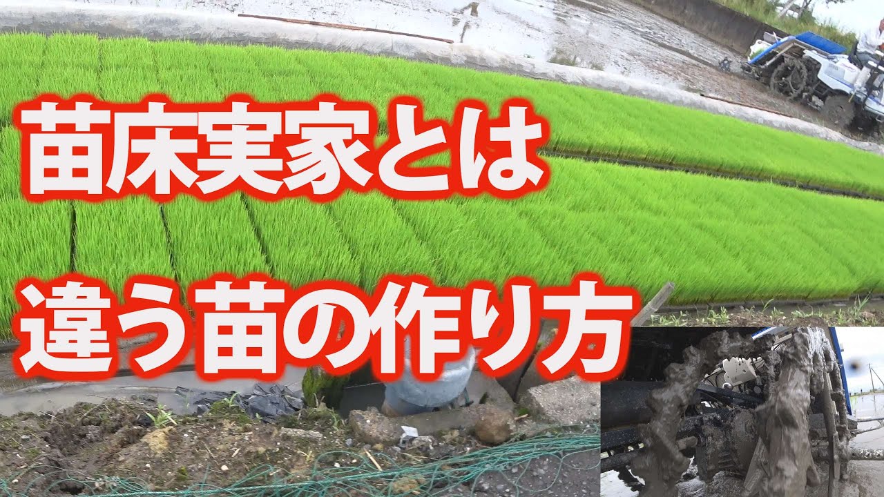 会社員実家農業手伝う 年五条植え田植え機イセキダブル車輪に 苗床は広々だ Youtube