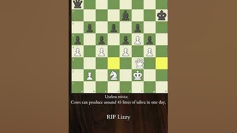 Hacking Chess #56 - Closed Positions #shorts #chess #hack #trending #youtube #chessgame #chessshorts