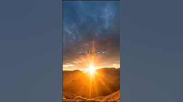 واتس اب قران كريم القارئ مشاري العفاسي من سورة (مريم)