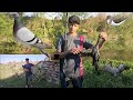 Air gun hunting pigeon  water birds hunting 2023 gamo reply 10 x air rifle