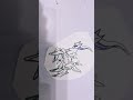this arceus drawing broke my phone #drawing #pokemon #glitch